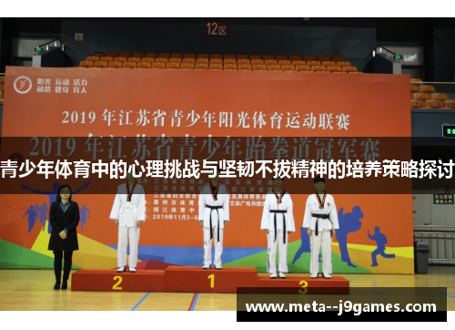 青少年体育中的心理挑战与坚韧不拔精神的培养策略探讨